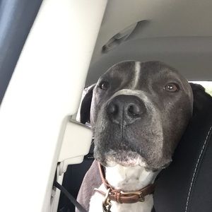 Meet your Posher, Nicole